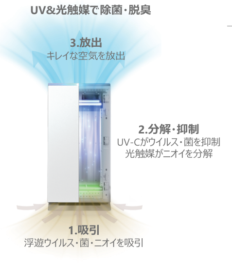 U-VISHの特徴について